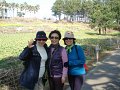 Jeju Tour 16